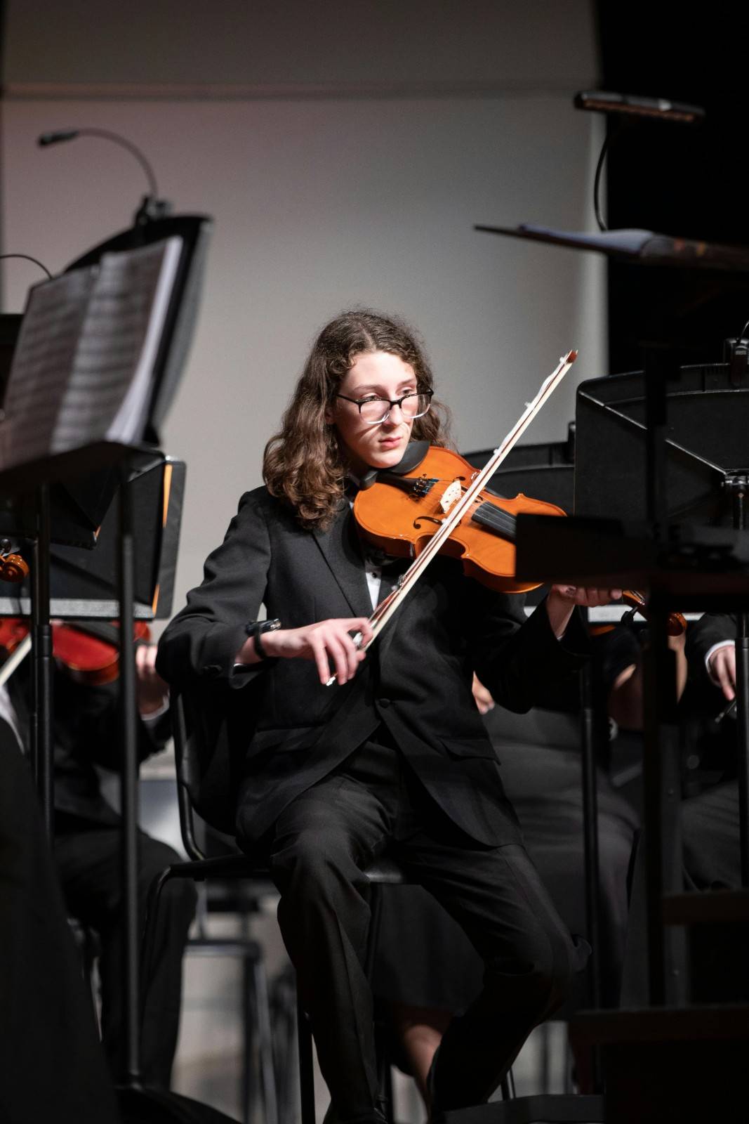 Violin Lesson Features